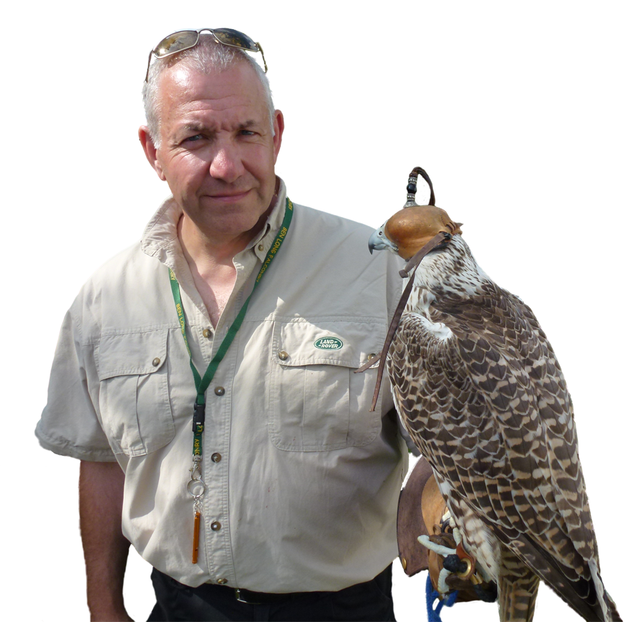 Falconry services by SWAT Pest Control Ltd. Falconry services by SWAT Pest Control Ltd.