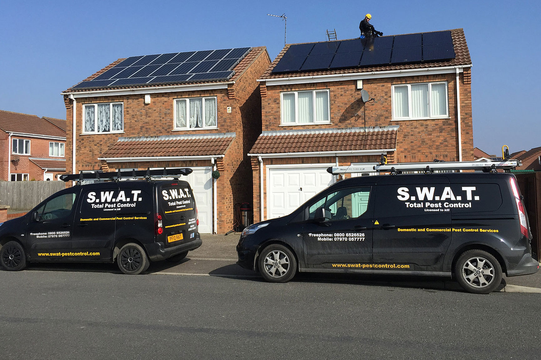 Residential pest control by SWAT Pest Control Ltd. Residential pest control by SWAT Pest Control Ltd.
